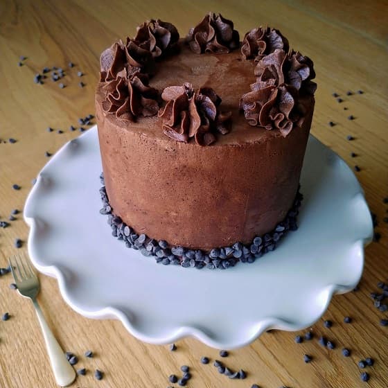 chocolate cake with chocolate chips. 