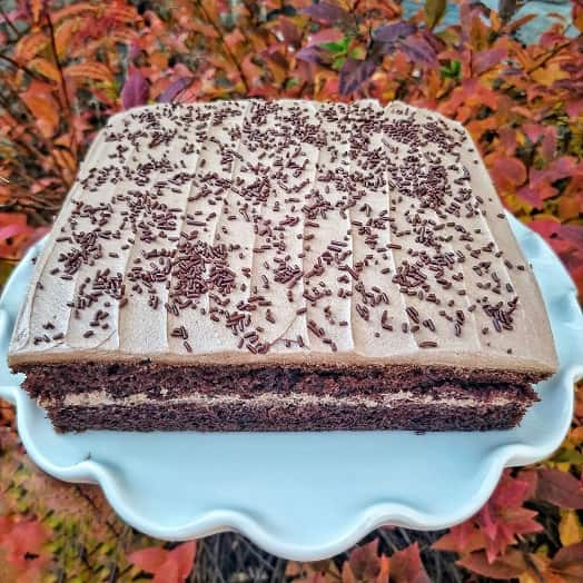 Chocolate cake on a cake stand.