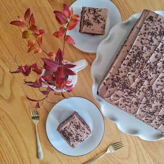 Chocolate cake on the table with a slices of cake .