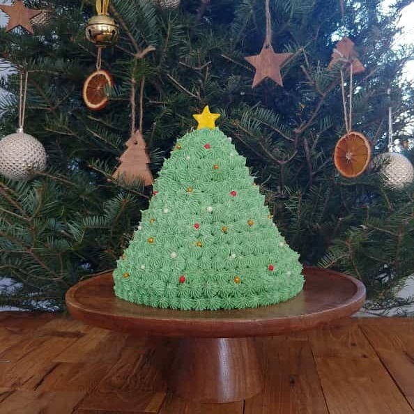 Christmas tree cake in front of a live Christmas tree.