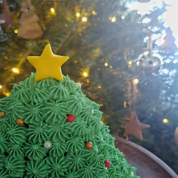 Christmas tree cake in front of a live tree with fondant yellow star.