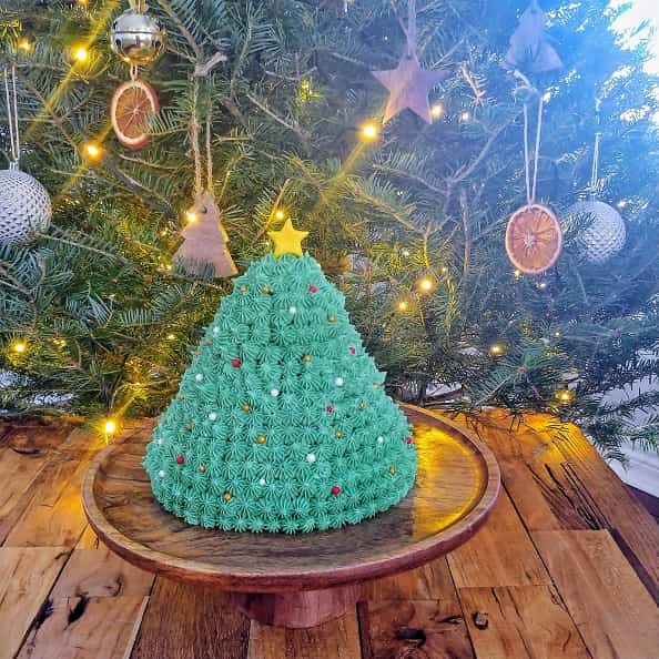 Christmas tree cake in front of a live tree.